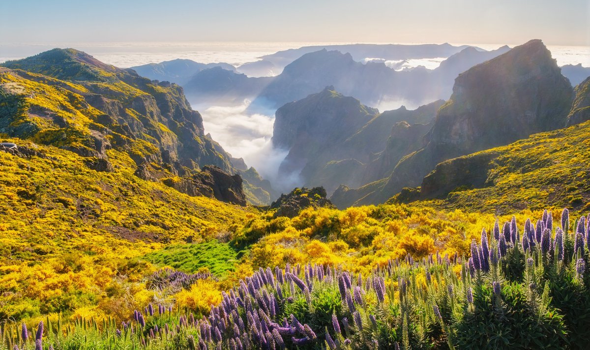 Gamtos grožiu užburianti Madeira