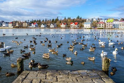 Reikjaviko lankytinos vietos – Hallgr¡mskirkja