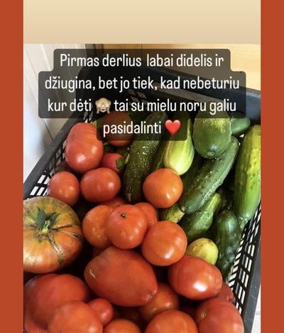 Įrašas iš „Maisto atiduotuvės“