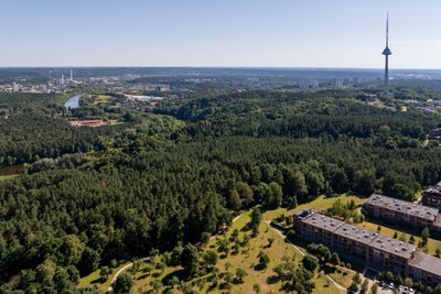 Senas obelų sodas Karoliniškėse