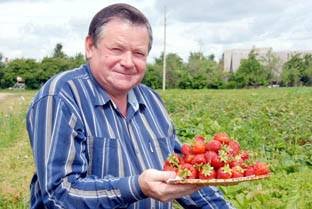 Vladas Guzelis