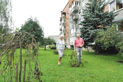 Daugiabučio kiemas