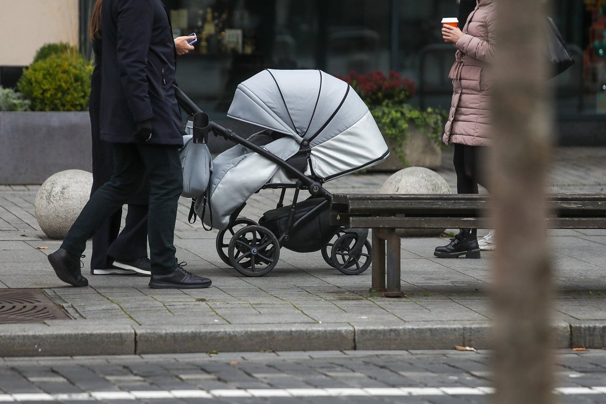 Social benefits would encourage people to have children – poll