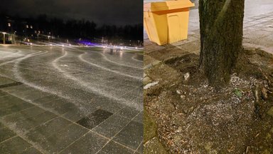 Pasibaisėjo Vilniaus savivaldybės veiksmais dėl druskos barstymo mieste: gresia rimtos problemos?
