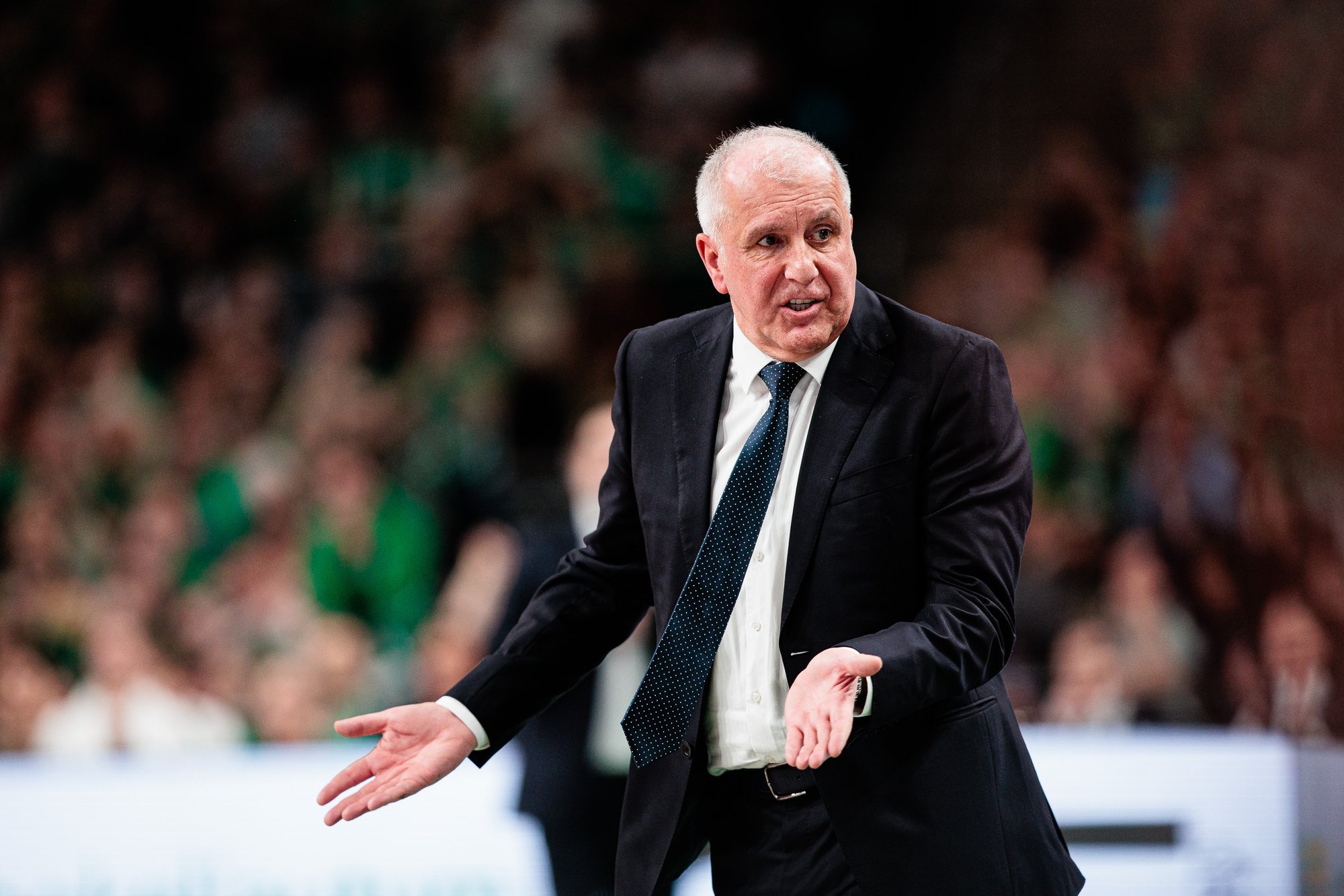 Panathinaikos reportedly offers record sum to lure back coach Obradović