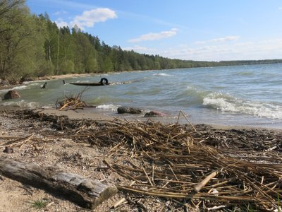 Poilsis Dzūkijoje