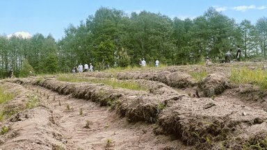 Lietuvoje – Vienaragių miškas: 9 tūkst. medžių pasodino „Unicorns Lithuania“ nariai