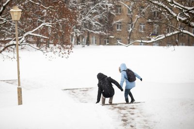 Žiemiškas Vilnius