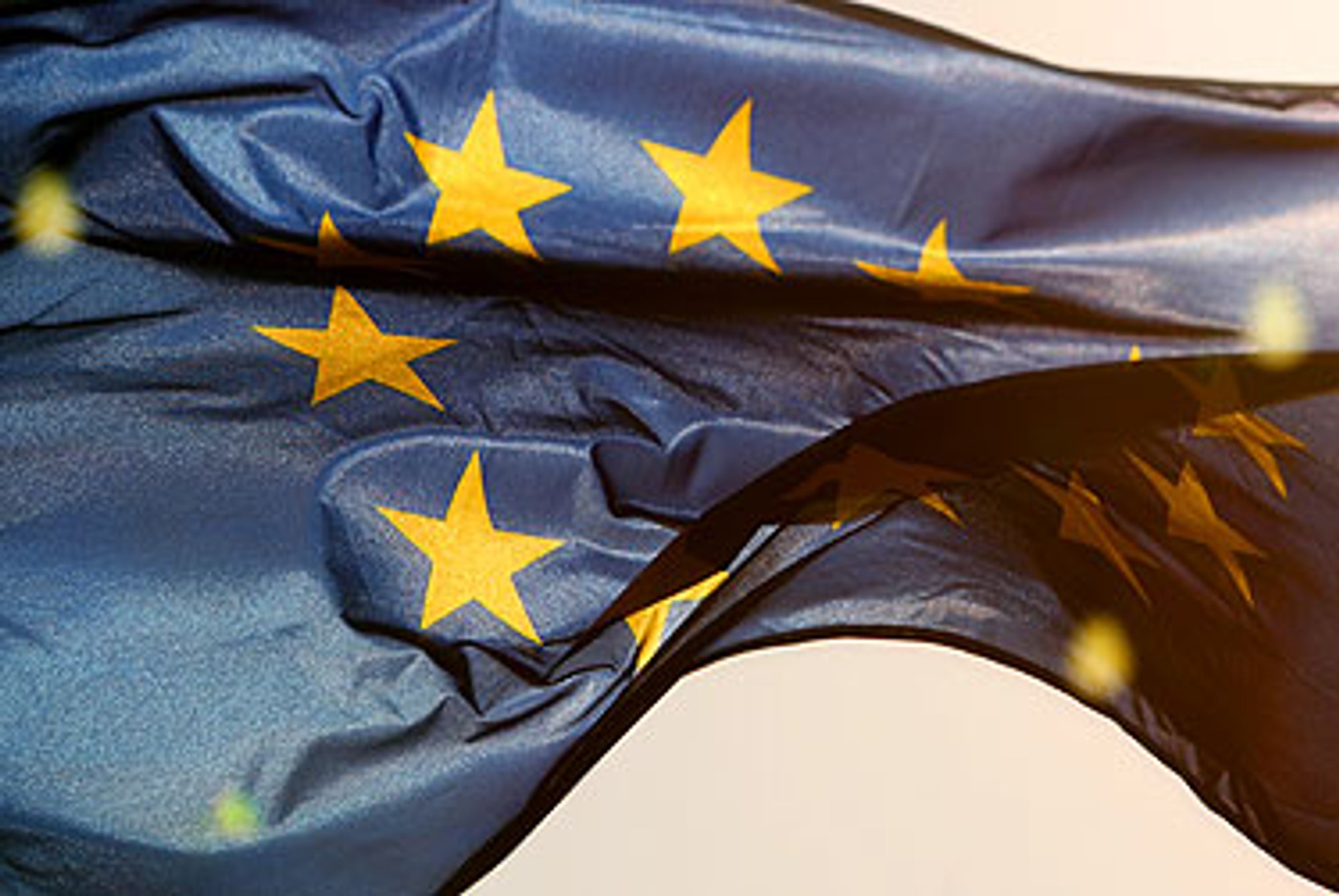 Europos sąjungos vėliava