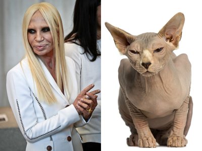 Donatella Versace