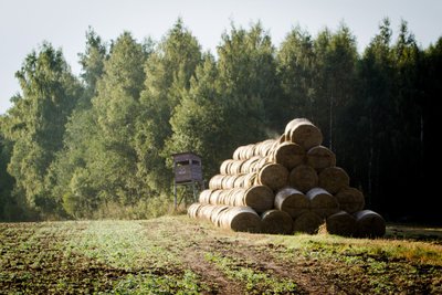 Medžiotojų bokštelis