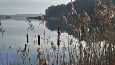 Drąseikių karjeras kovo mėnesį