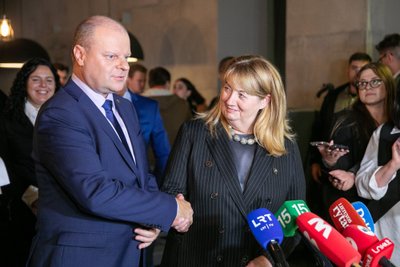 Saulius Skvernelis, Vilija Blinkevičiūtė