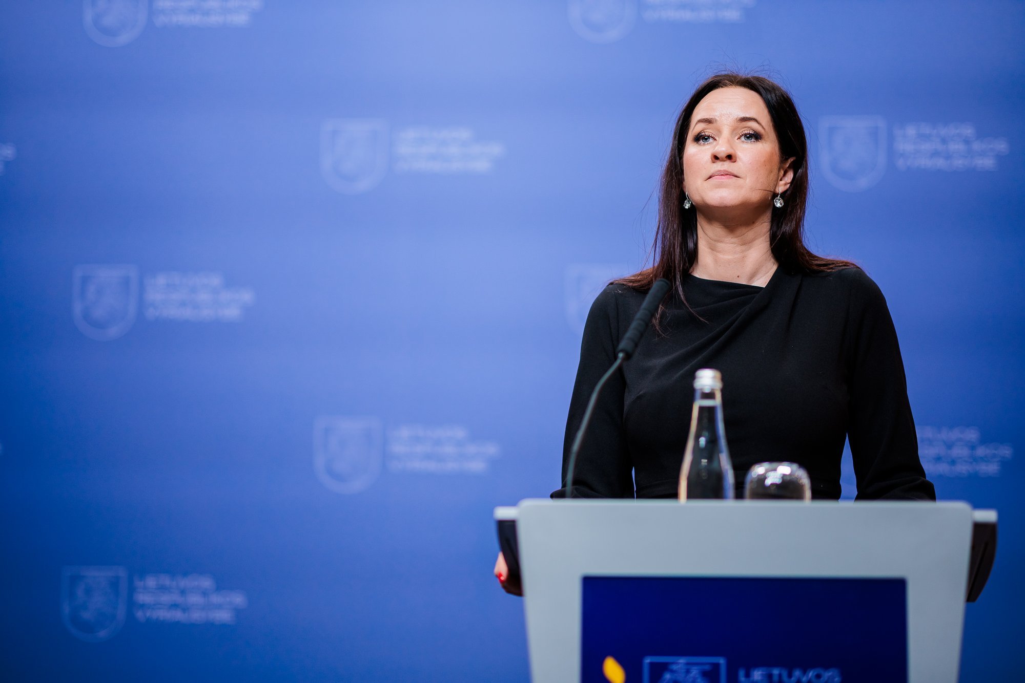 Drone that crashed in Lithuania was Ukrainian – PM