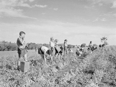 Priverstinė vaikų migracija į Australiją