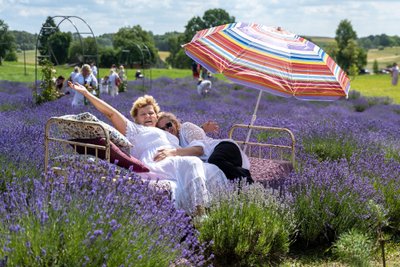 Levandų grožio užburti svečiai kasmet sugrįžta į festivalį atokiame Dzūkijos kaimelyje