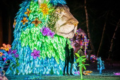 Festivalis „Didieji Azijos žibintai“ 