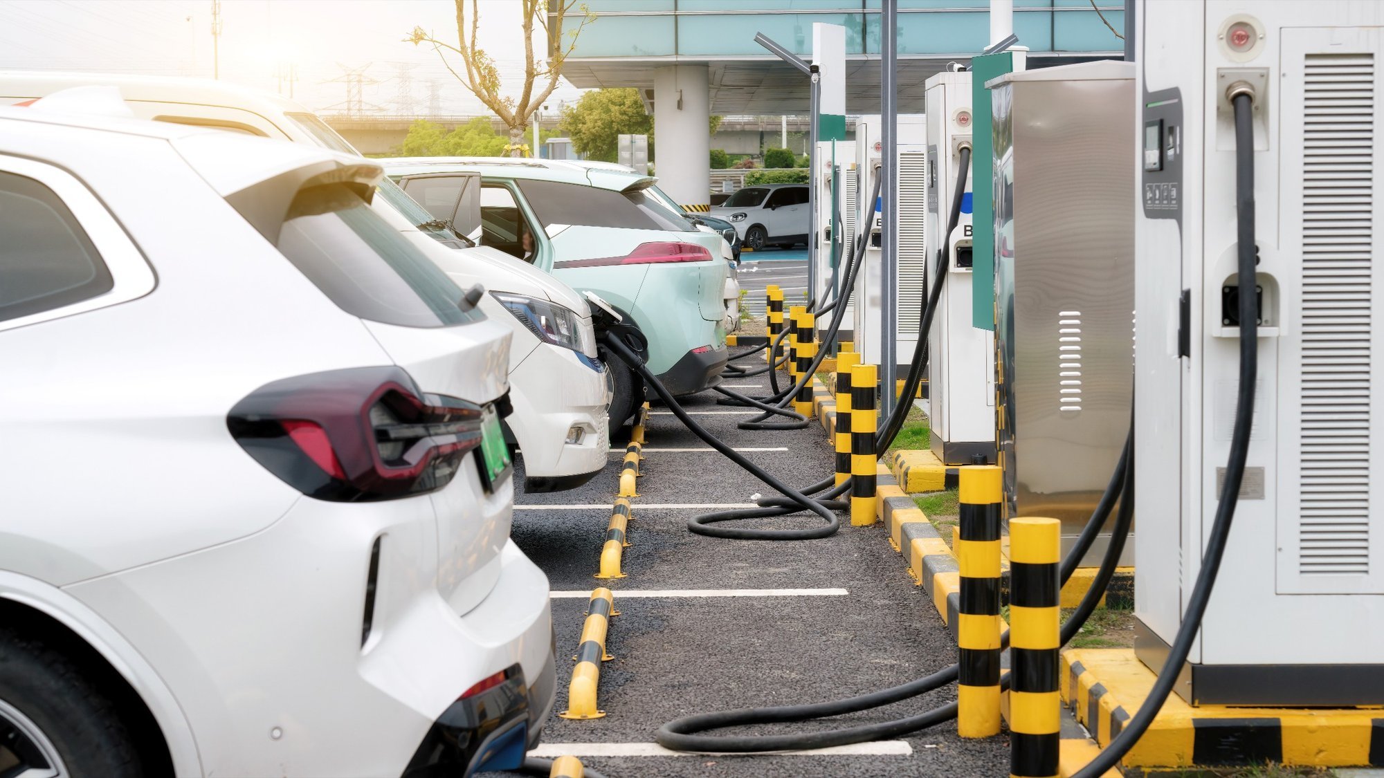 Electric Car Drivers' Priorities Shift: Infrastructure Less Concerning, Charging Cost More Important