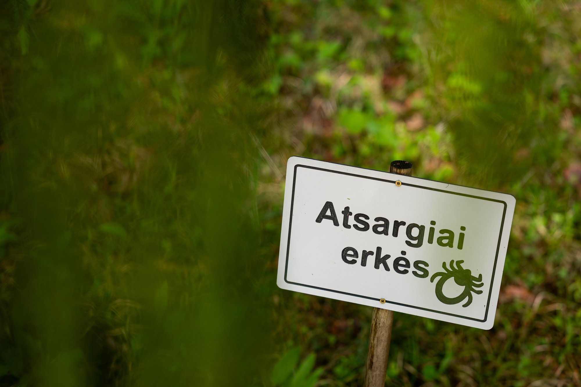 Fewer tick-borne encephalitis and Lyme disease cases in Lithuania this year
