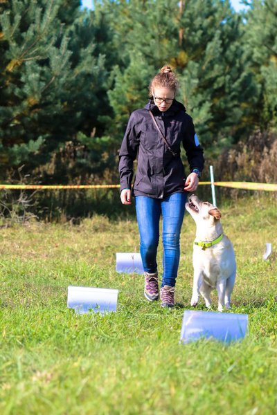 „Mokau ir mokausi kasdien“, – prisipažįsta Labradoro retriverės Amber šeimininkė