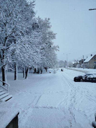 Sniegas Pagėgių rajone, Šilgaliuose