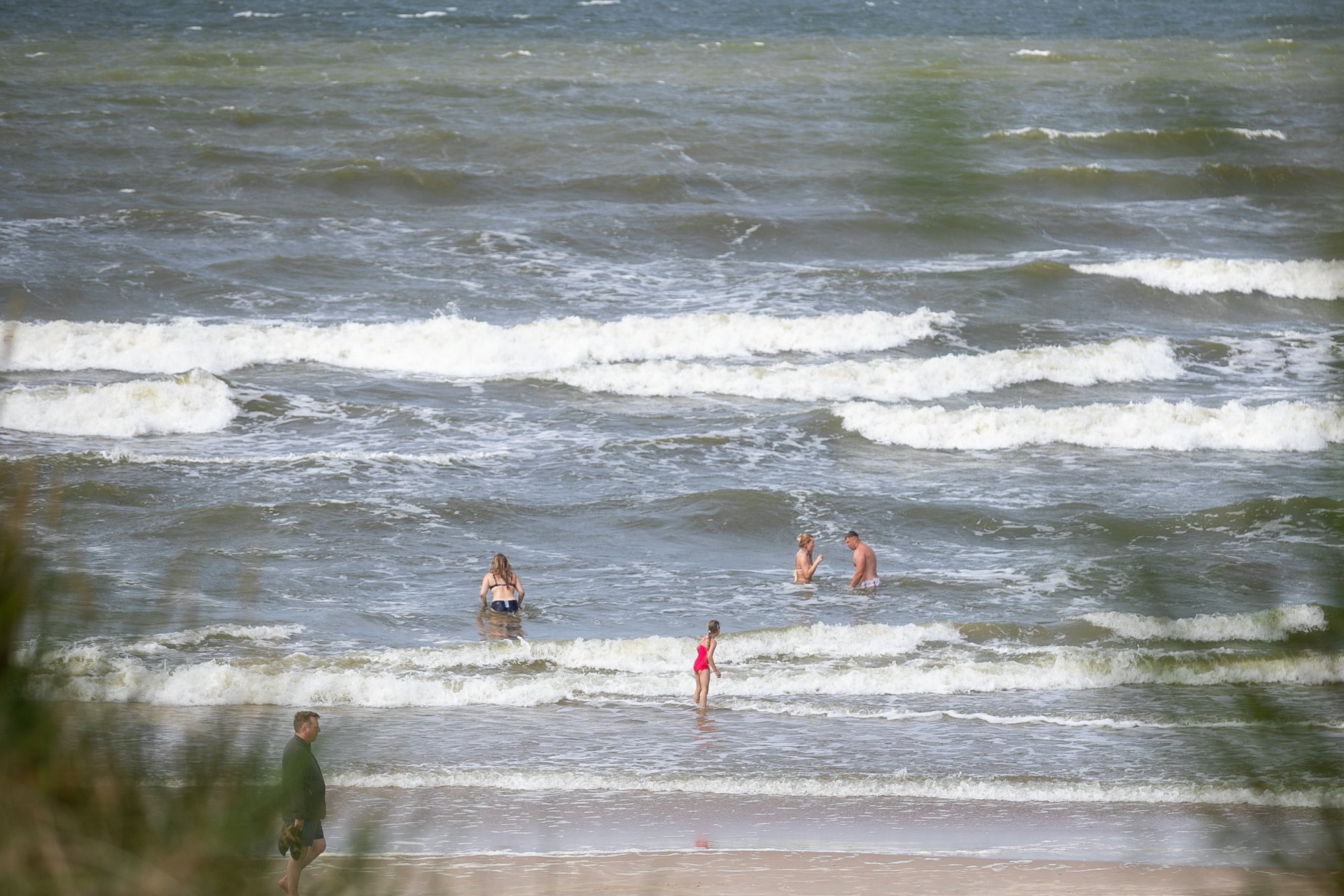 Global sea temperatures hit record high in July amid extreme heatwaves