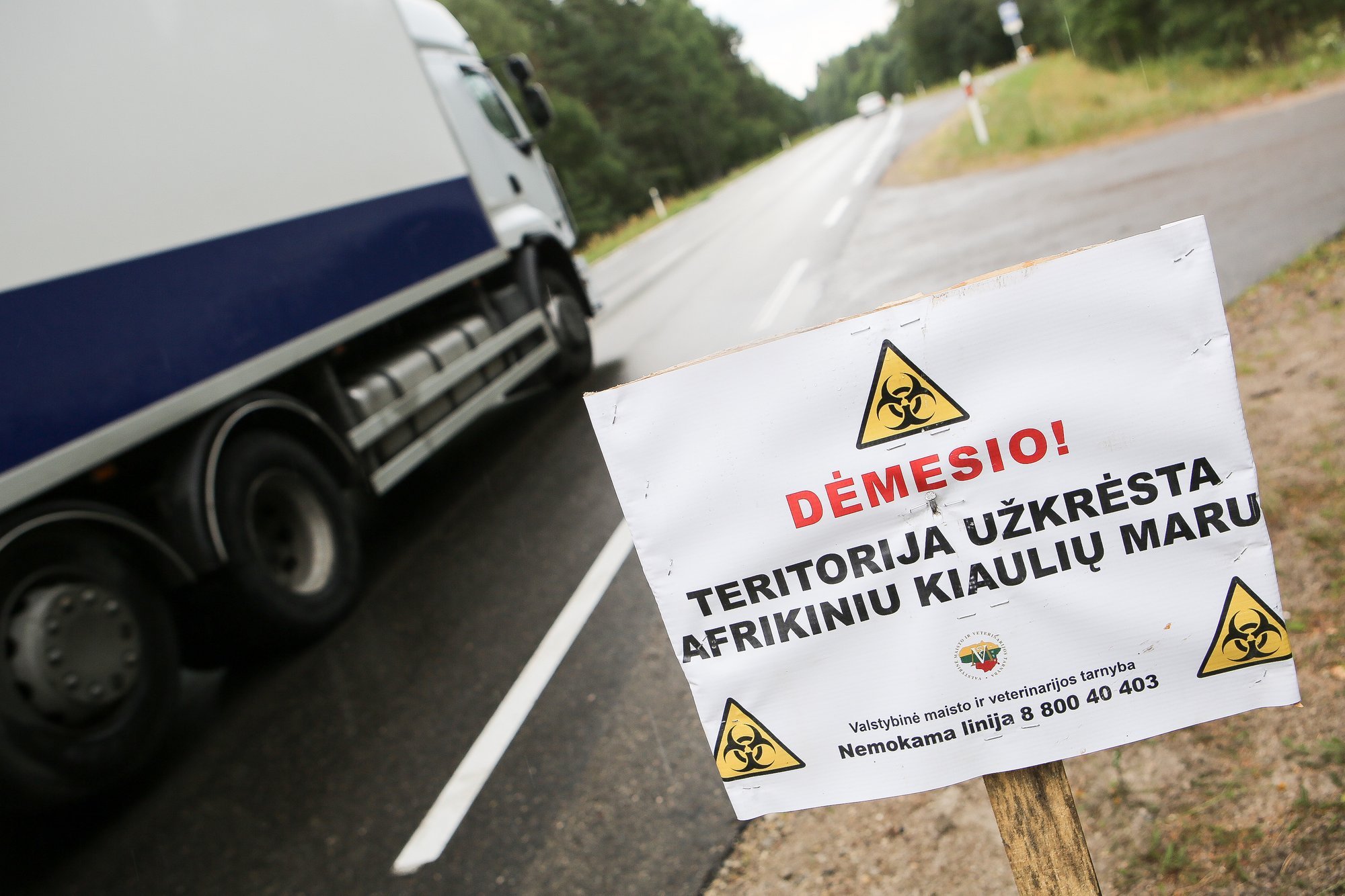 Obszar dotknięty afrykańskim pomorem świń powiększa się