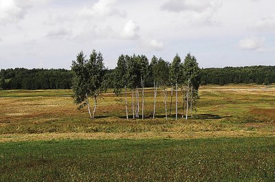 Pilkapynas ir II kapinynas iš rytų pusės // Juliaus Kanarsko nuotr., 2013 m.