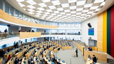 Po akibrokšto Seime pateikė naujų detalių: daugybė požymių rodo, kad buvo įvykęs suokalbis