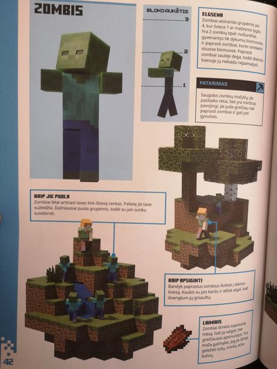 Skaitytoja įžvelgė galimus „Minecraft“ keliamus pavojus.