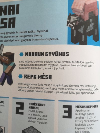 Skaitytoja įžvelgė galimus „Minecraft“ keliamus pavojus.