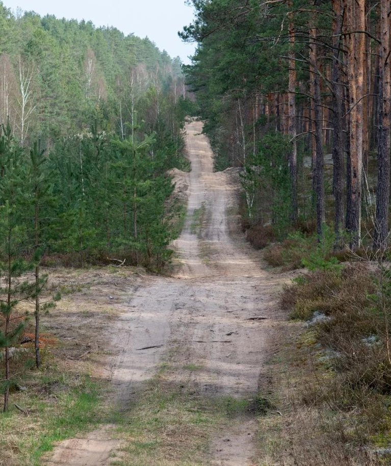 Dainavos apygardos partizanų kovų takai