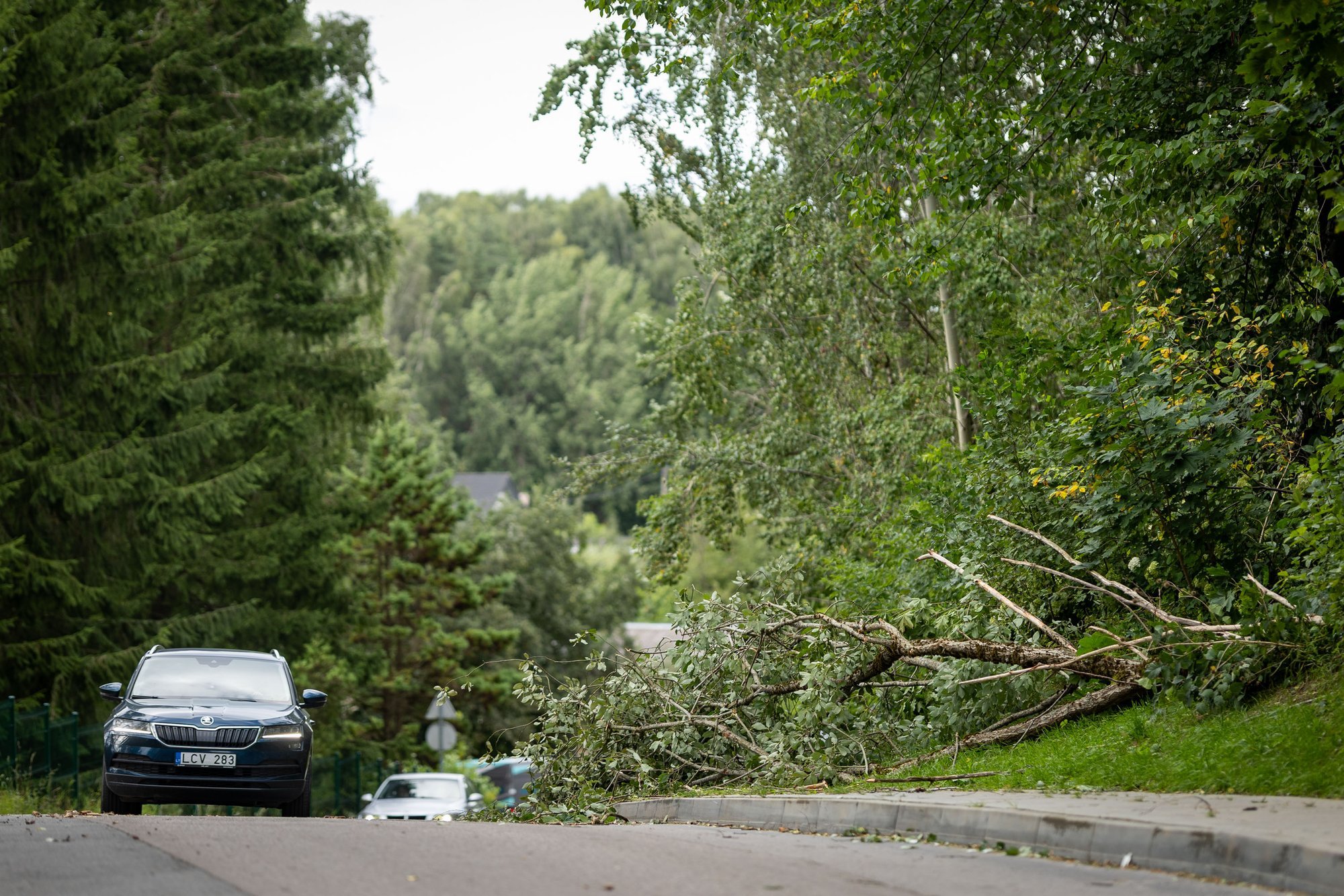 Cyclone Priska batters Lithuania with heavy rain and winds; calmer weather expected mid-week