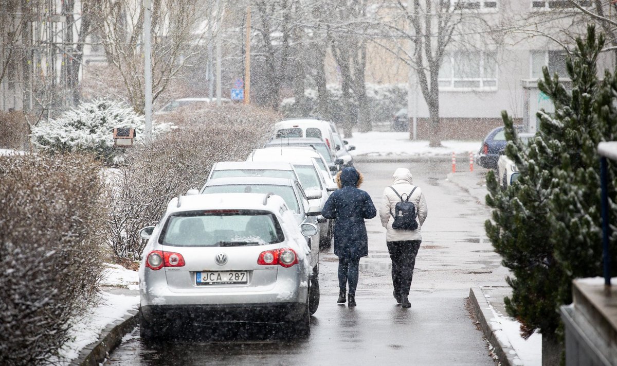 Žiemiški orai pavasarį