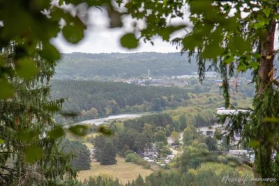 Panerių pažintinis takas