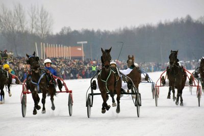  Žirgų lenktynės Dusetose