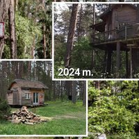 Po ketverių metų – institucijų pergalė: neteisėtas namelis medyje pagaliau iškeltas