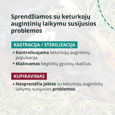 Nelegalus gyvūnų kupiravimas