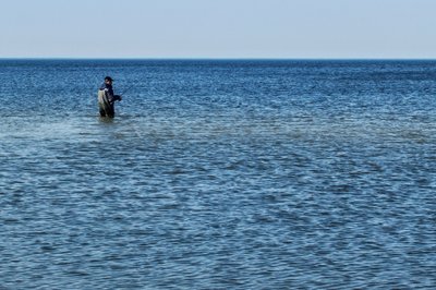 Žvejys Kaliningrade