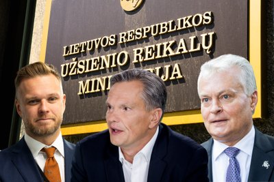 Gabrielius Landsbergis, Eitvydas Bajarūnas, Gitanas Nausėda. 