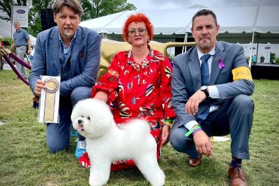 T. Plungė ir J. J. Plungė su Tauro Kennel veislyno garbanotuoju bišonu, Svajūnu, Award of Merits laimėtoju, Vestminsterio šunų parodoje