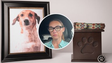 Gyvūnų kremavimas – sparčiai populiarėjanti paslauga Lietuvoje: urnose atsiduria net papūgos ir vėžliai
