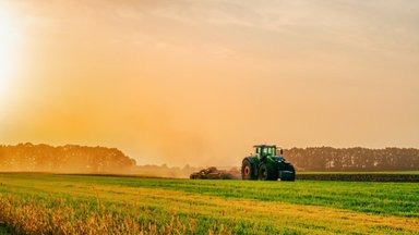 Tiesioginių išmokų įvairovė: kokios galimybės ūkininkams gauti daugiau paramos 