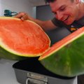 Planetos viršūnės. Arbūzų tėvas. Kaip išsirinkti arbūzą? Žygiuojam į kalnelį
