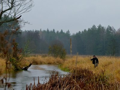 Rudeninė kiršlių žūklė