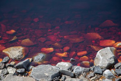 Розовая «вода» фенольного хвостохранилища между Торецком и Горловкой