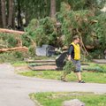 Эксперт в сфере энергетики: хорошо, что буря дошла до Вильнюса