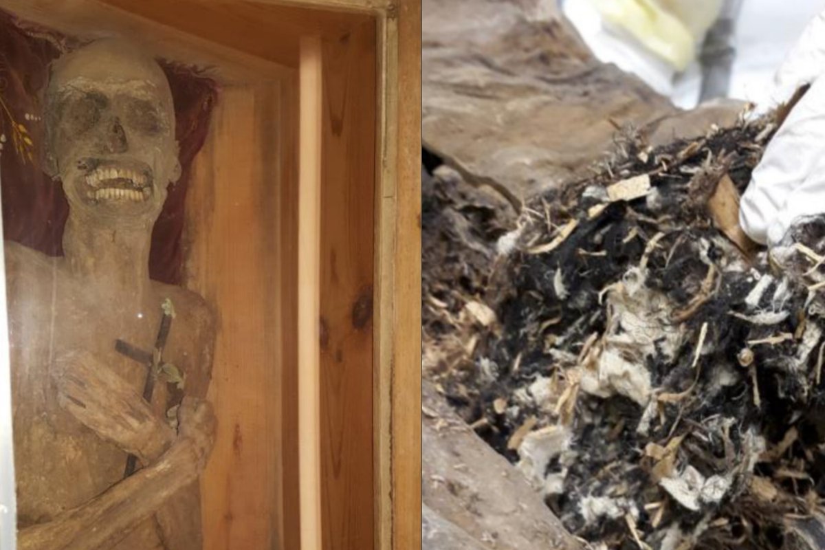 Prieš 300 metų mirusio dvasininko mumijos išangėje mokslininkai aptiko ...