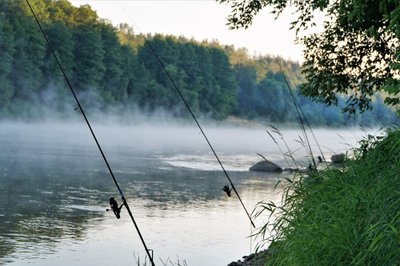 Nemunas ties Druskininkais auštant