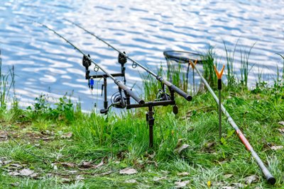 ALIS visų tipų leidimus galima bet kada atsispausdinti